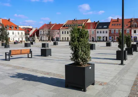 Zdjęcie do artykułu